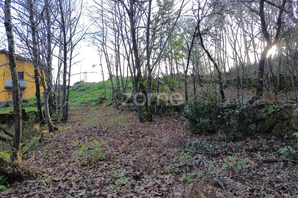 Terreno em Vale Do Bacelo - Almargem 1376m2 — imagem 8