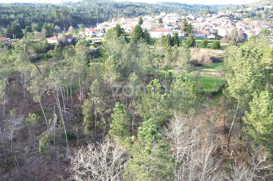 Terreno em Vale Do Bacelo - Almargem 1376m2 — imagem 15