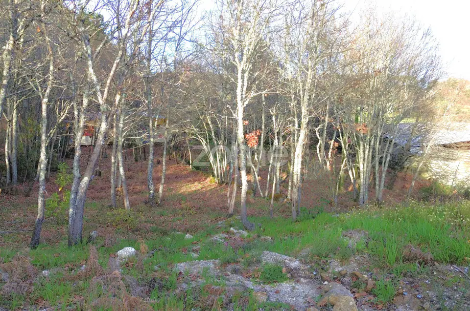 Terreno em Vale Do Bacelo - Almargem 1376m2 — imagem 6