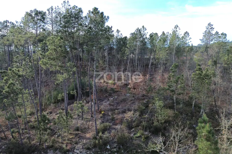 Terreno em Vale Do Bacelo - Almargem 1376m2 — imagem 19