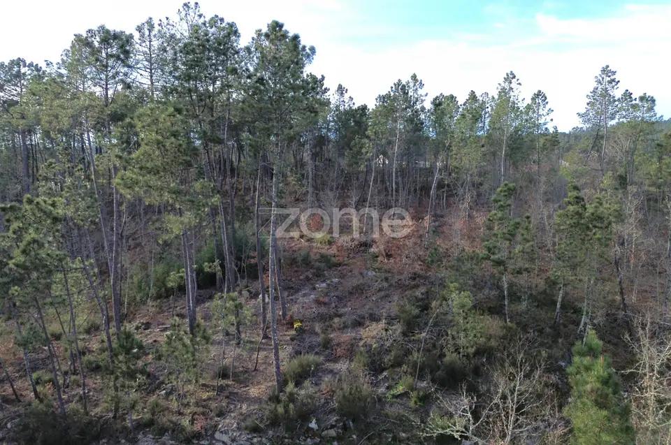 Terreno em Vale Do Bacelo - Almargem 1376m2 — imagem 2