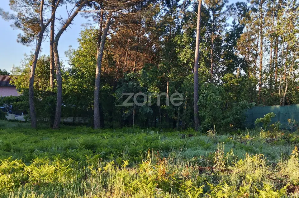 Terreno Urbanizavel Vila Chã de Sá — imagem 7