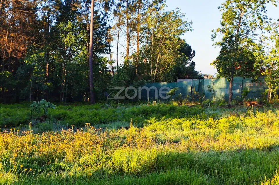 Terreno Urbanizavel Vila Chã de Sá — imagem 13