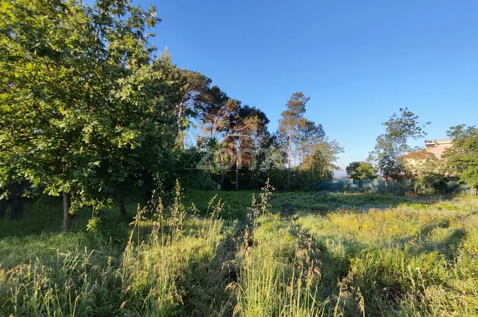 Terreno Urbanizavel Vila Chã de Sá — imagem 1
