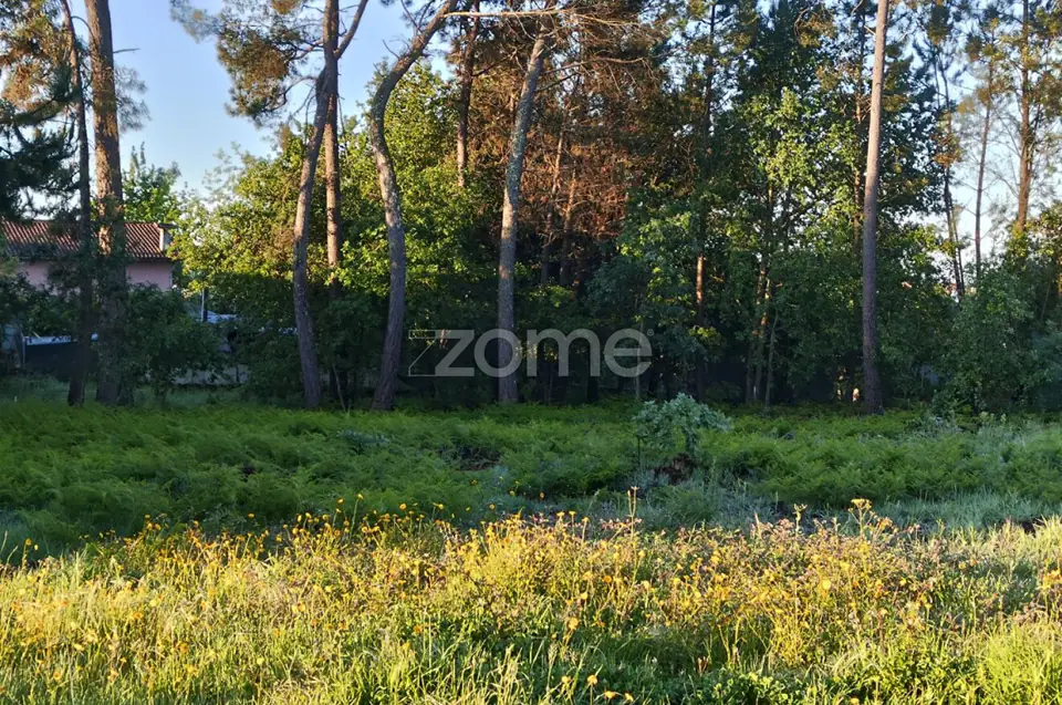 Terreno Urbanizavel Vila Chã de Sá — imagem 14