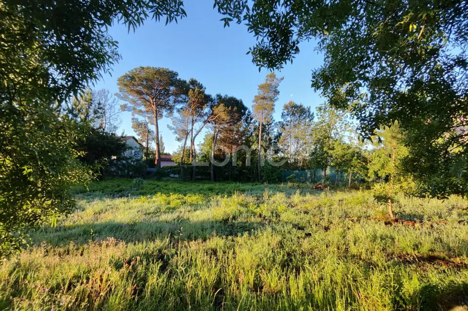 Terreno Urbanizavel Vila Chã de Sá — imagem 6