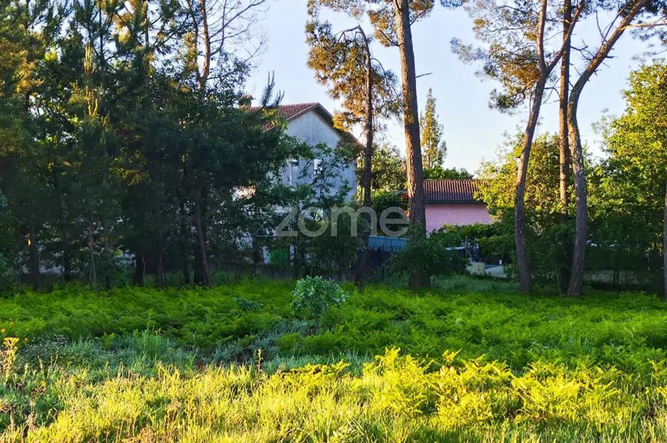 Terreno Urbanizavel Vila Chã de Sá — imagem 8