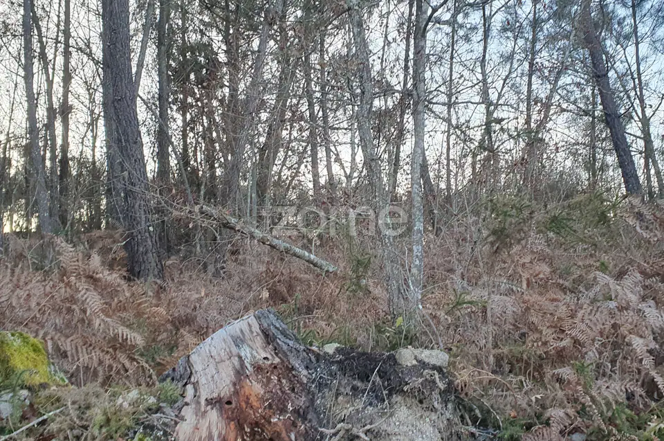 Terreno em Calde, Almargem (Viseu) – 1300 m2 — imagem 12