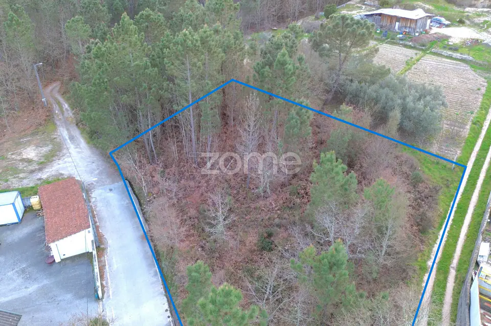 Terreno em Calde, Almargem (Viseu) – 1300 m2 — imagem 2