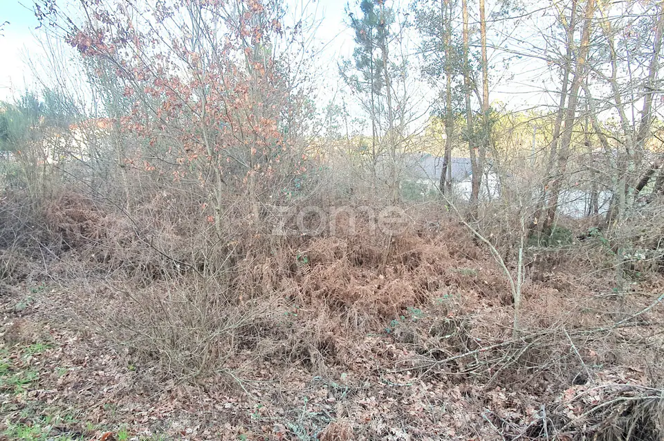 Terreno em Calde, Almargem (Viseu) – 1300 m2 — imagem 7