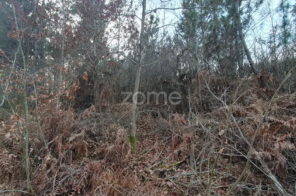 Terreno em Calde, Almargem (Viseu) – 1300 m2 — imagem 10