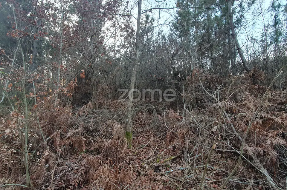 Terreno em Calde, Almargem (Viseu) – 1300 m2 — imagem 5