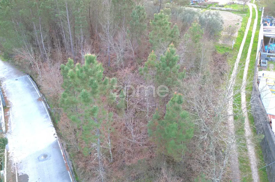 Terreno em Calde, Almargem (Viseu) – 1300 m2 — imagem 14