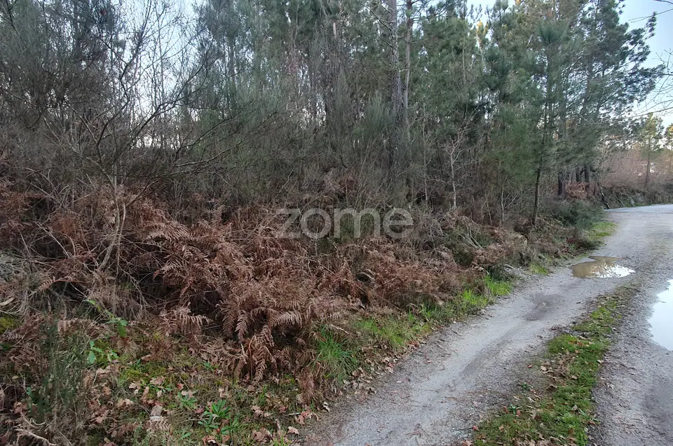 Terreno em Calde, Almargem (Viseu) – 1300 m2 — imagem 11