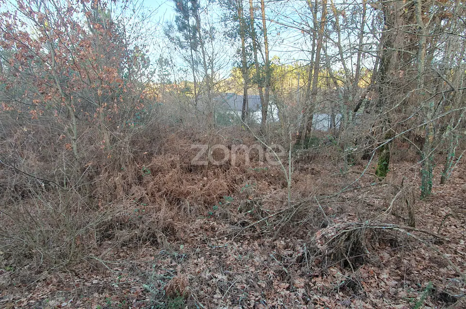 Terreno em Calde, Almargem (Viseu) – 1300 m2 — imagem 8