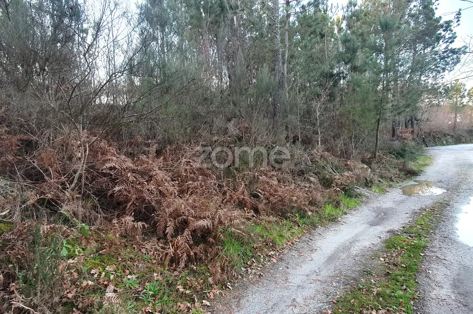 Terreno em Calde, Almargem (Viseu) – 1300 m2 — imagem 1
