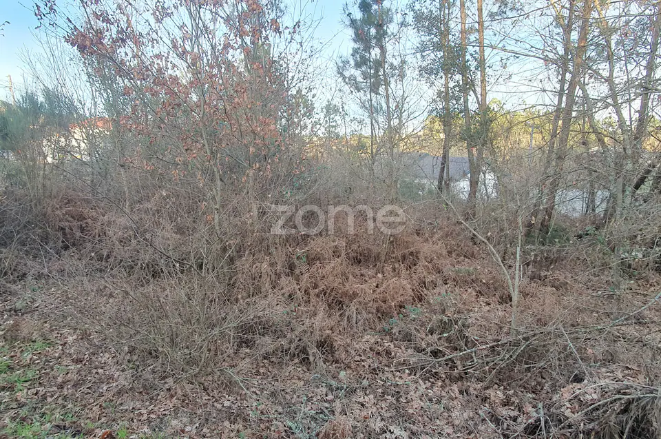 Terreno em Calde, Almargem (Viseu) – 1300 m2 — imagem 9