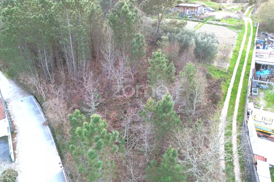 Terreno em Calde, Almargem (Viseu) – 1300 m2 — imagem 4