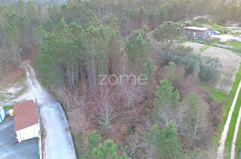 Terreno em Calde, Almargem (Viseu) – 1300 m2 — imagem 6