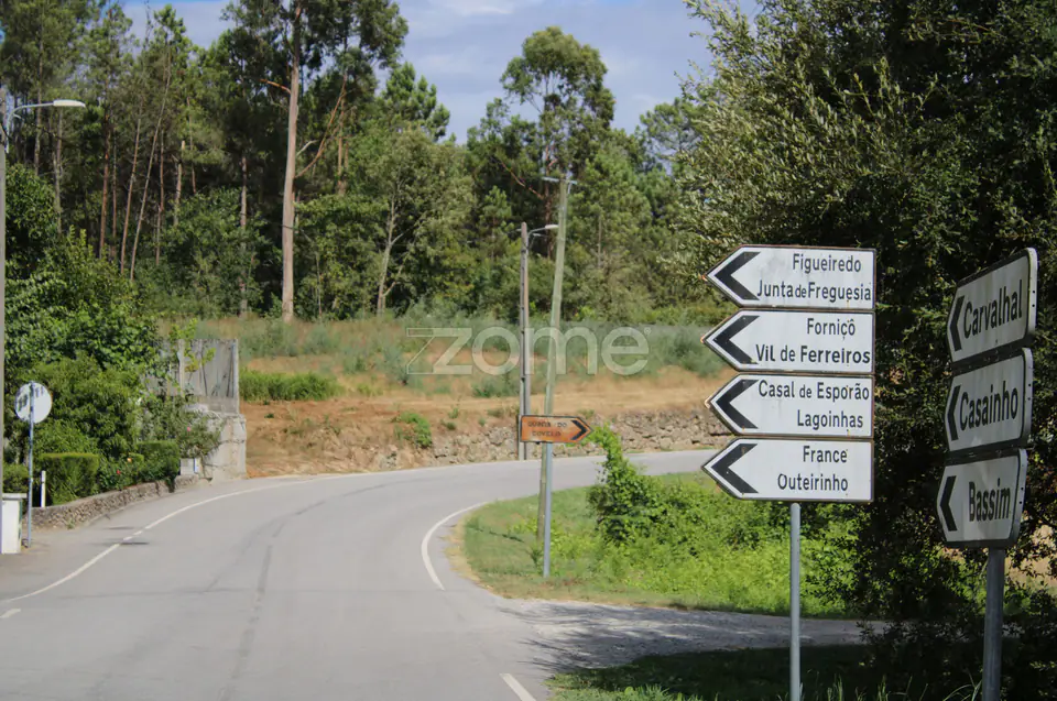 Terreno com pinhal e e mato a 15 minutos de Viseu — imagem 4
