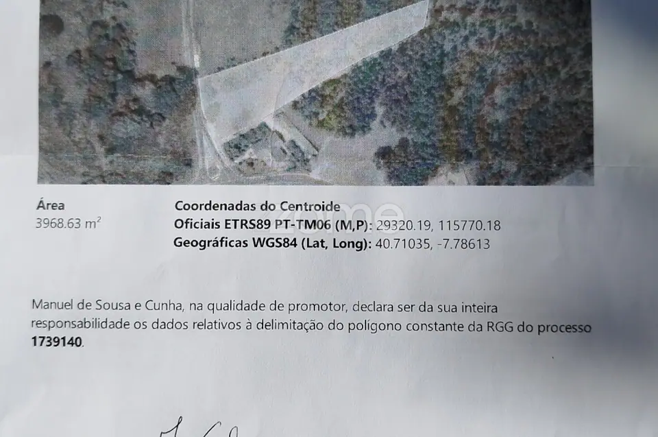 Terreno com pinhal e e mato a 15 minutos de Viseu — imagem 34