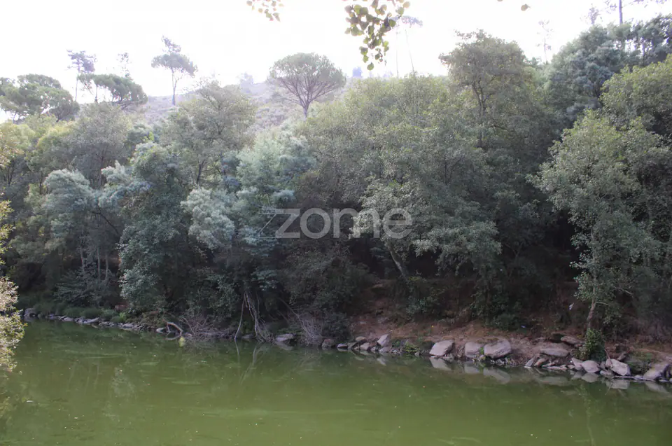 Terreno na margem do Rio Dão — imagem 13