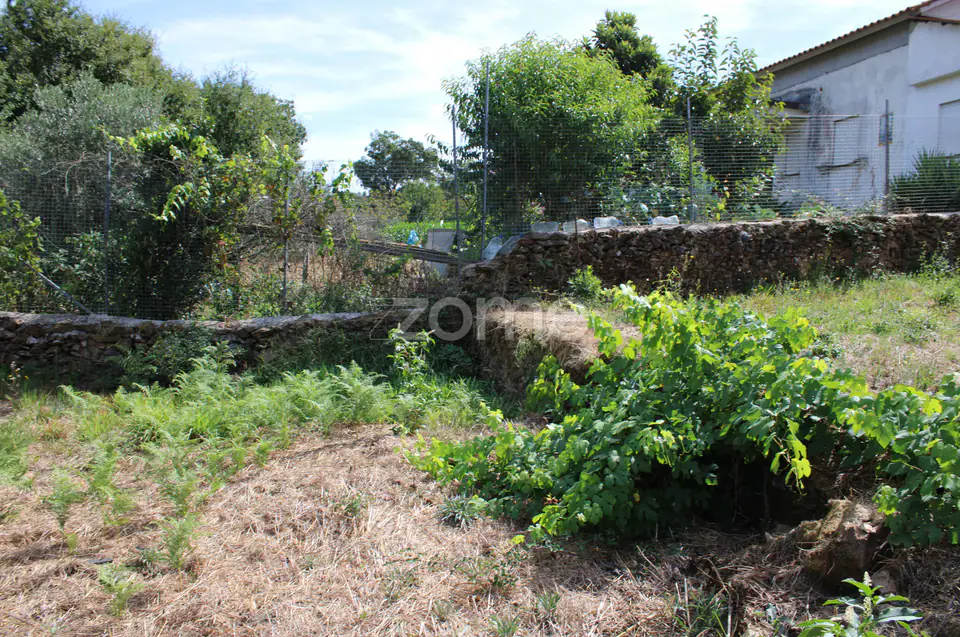 Moradia em ruina, quintal arvores de fruta, poço, boa exposição solar — imagem 11
