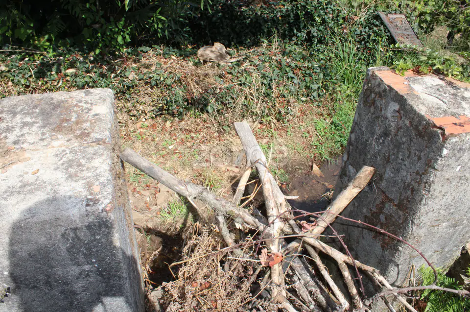 Moradia em ruina, quintal arvores de fruta, poço, boa exposição solar — imagem 9