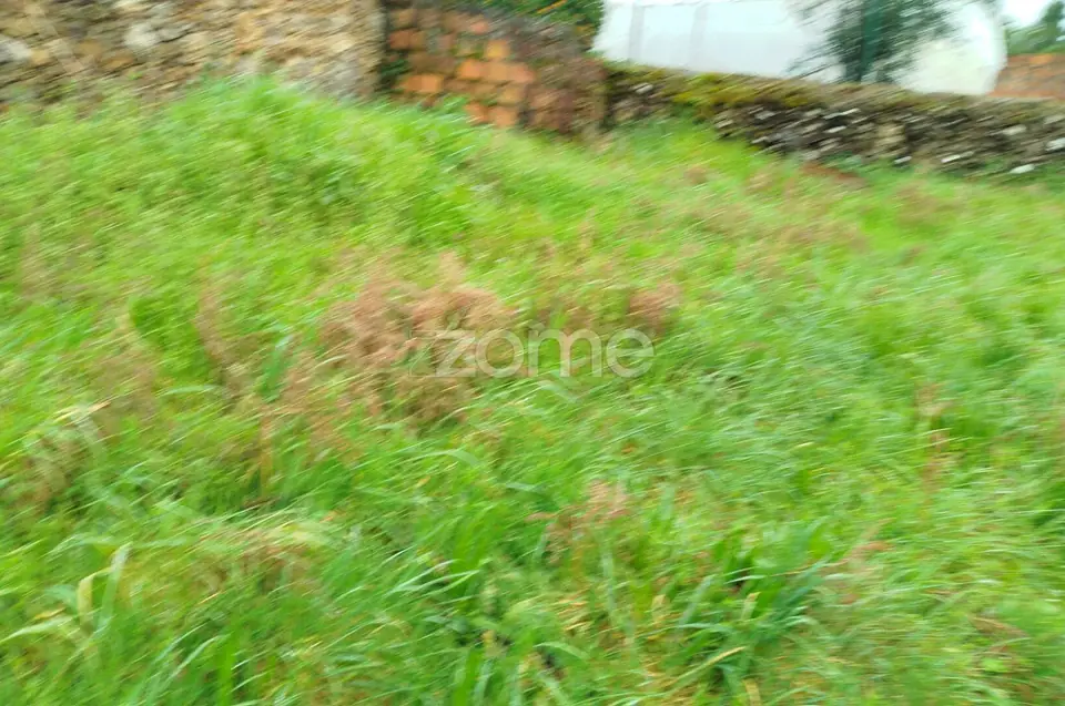 Moradia em ruina, quintal arvores de fruta, poço, boa exposição solar — imagem 52