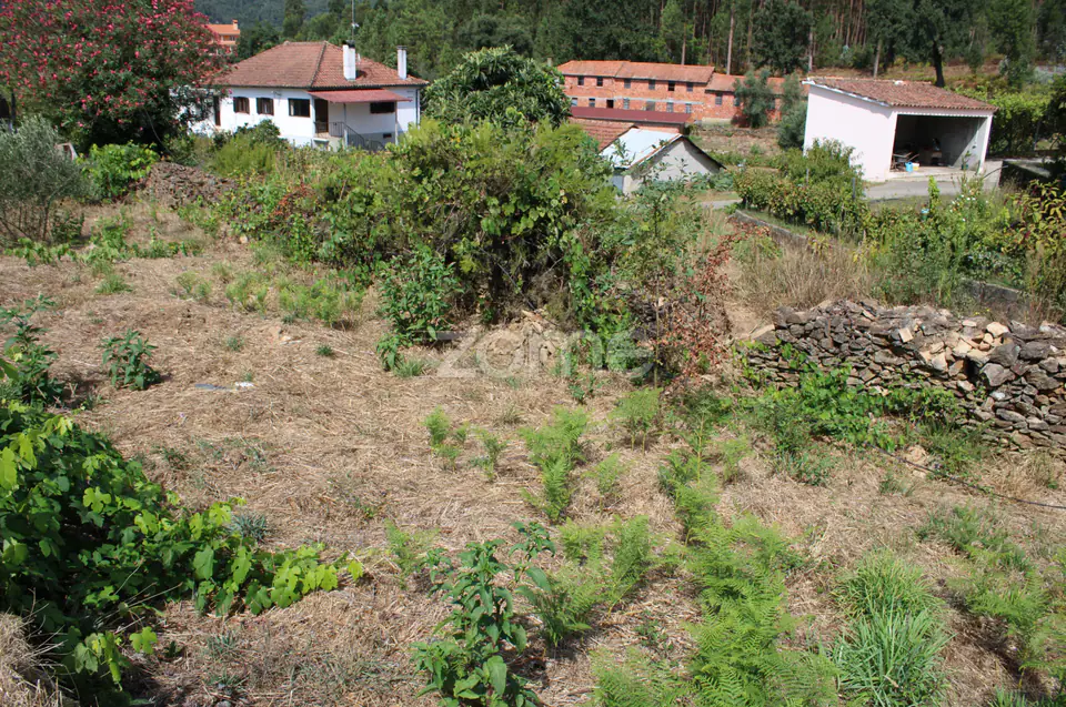 Moradia em ruina, quintal arvores de fruta, poço, boa exposição solar — imagem 20