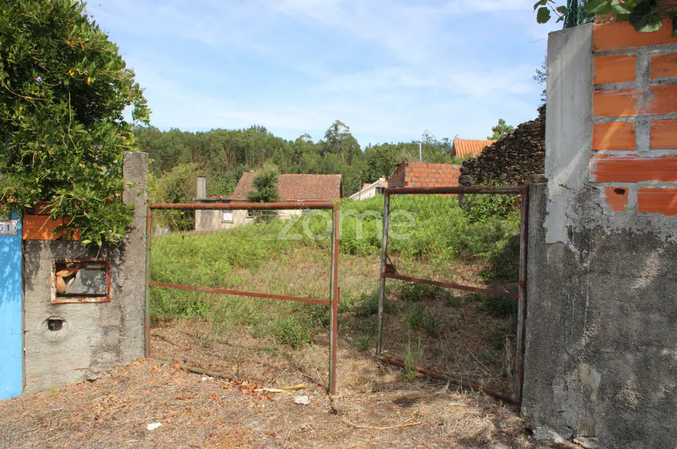 Moradia em ruina, quintal arvores de fruta, poço, boa exposição solar — imagem 25