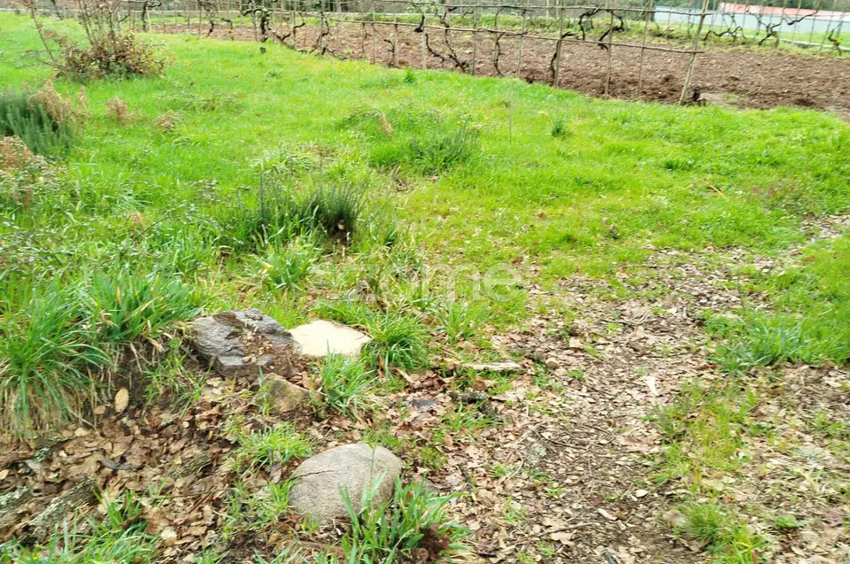 Moradia em ruina, quintal arvores de fruta, poço, boa exposição solar — imagem 40
