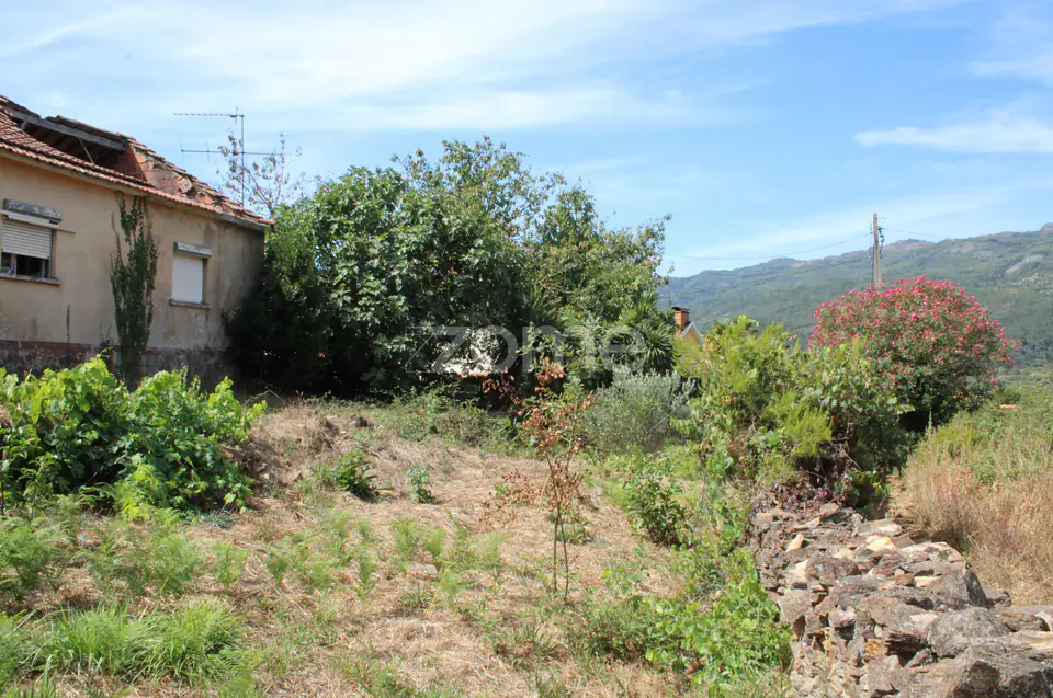 Moradia em ruina, quintal arvores de fruta, poço, boa exposição solar — imagem 12