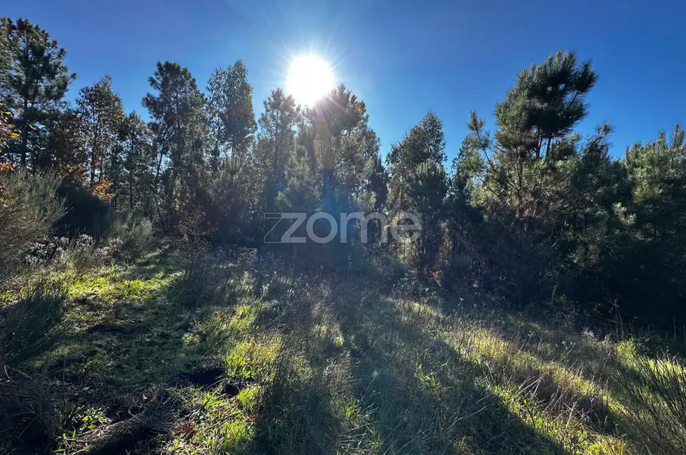 7377 m2, 🏗️ Oportunidade de Investimento Único – Terreno p Loteamento — imagem 1