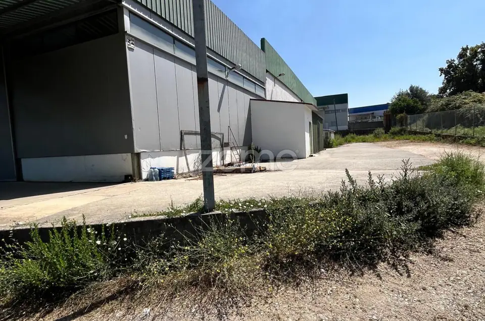 Armazém Industrial Premium 2.000 m² com Excelente Localização. — imagem 18
