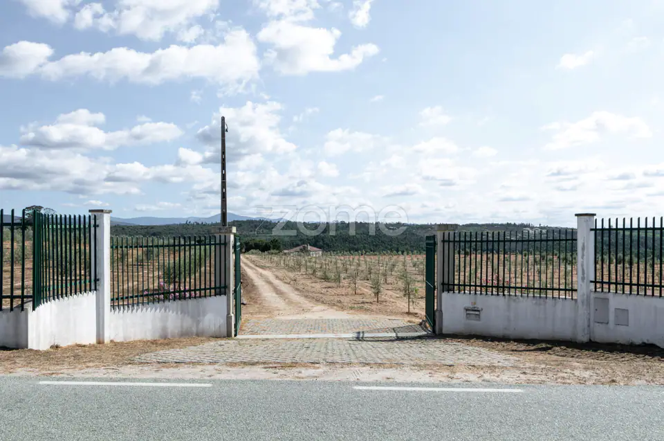 Propriedade Única no Norte de Portugal-Deslumbrante Quinta de 17 HA — imagem 37