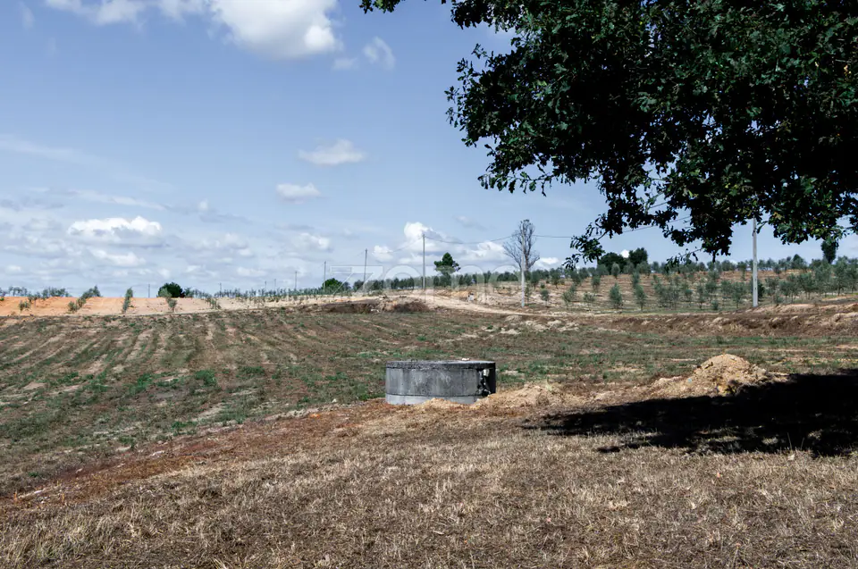 Propriedade Única no Norte de Portugal-Deslumbrante Quinta de 17 HA — imagem 24