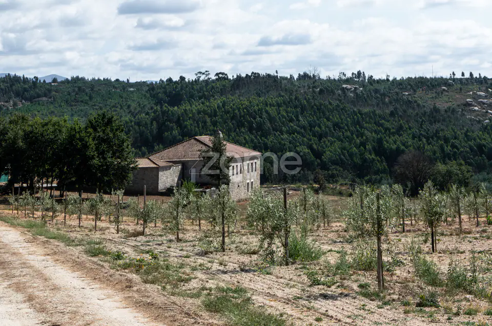 Propriedade Única no Norte de Portugal-Deslumbrante Quinta de 17 HA — imagem 1