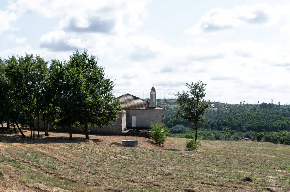 Propriedade Única no Norte de Portugal-Deslumbrante Quinta de 17 HA — imagem 33