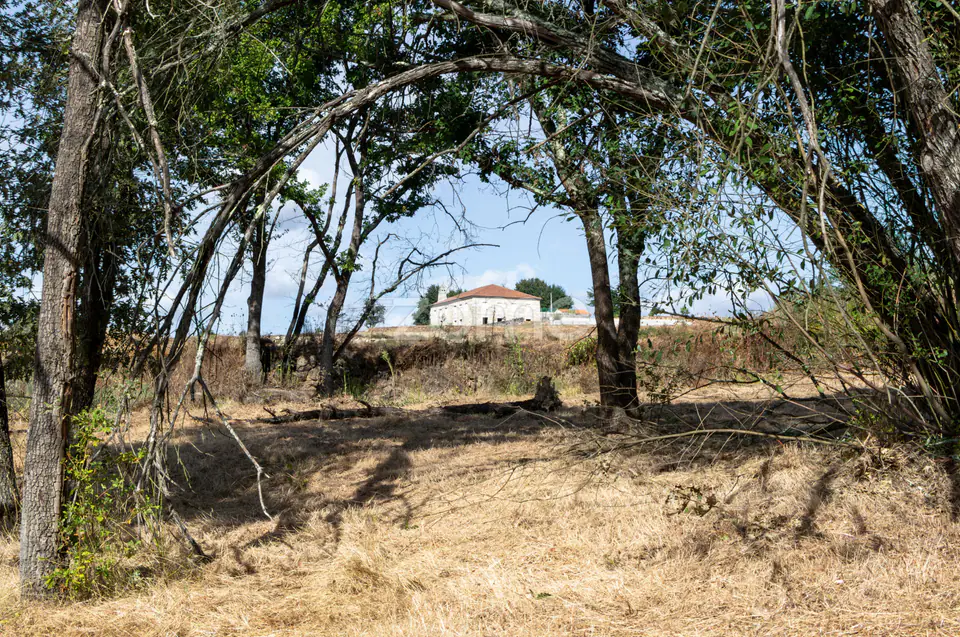 Propriedade Única no Norte de Portugal-Deslumbrante Quinta de 17 HA — imagem 38
