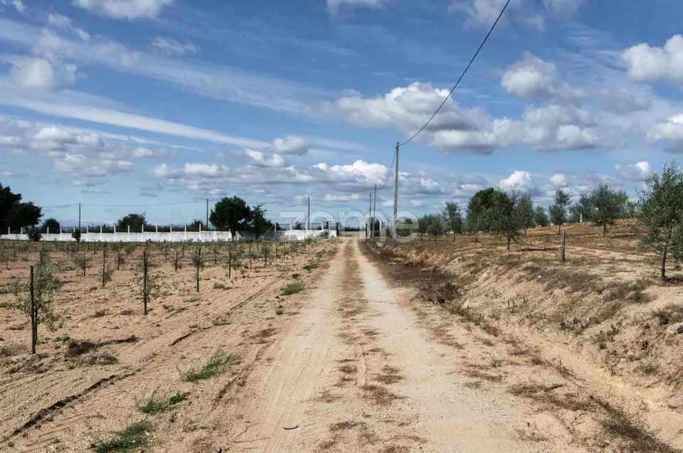 Propriedade Única no Norte de Portugal-Deslumbrante Quinta de 17 HA — imagem 35