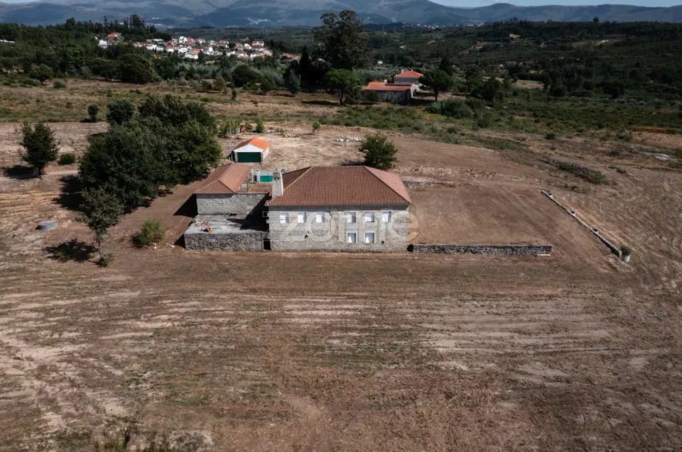 Propriedade Única no Norte de Portugal-Deslumbrante Quinta de 17 HA — imagem 8