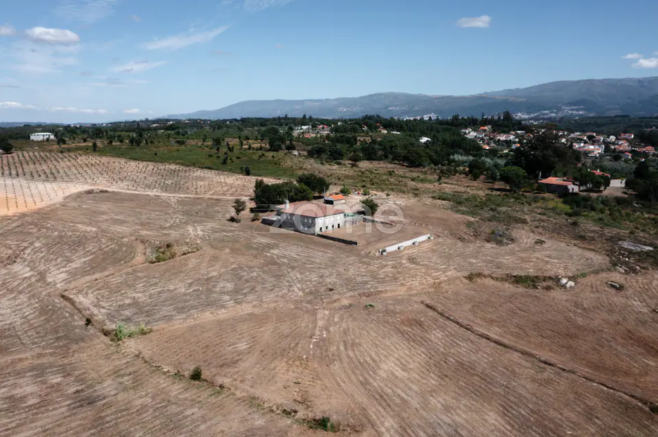 Propriedade Única no Norte de Portugal-Deslumbrante Quinta de 17 HA — imagem 3