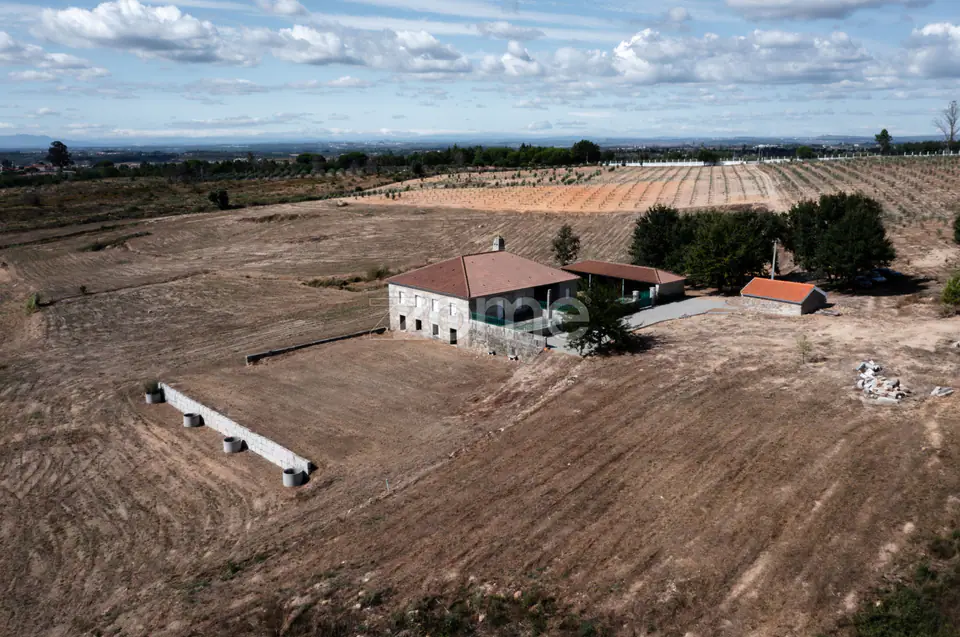 Propriedade Única no Norte de Portugal-Deslumbrante Quinta de 17 HA — imagem 7
