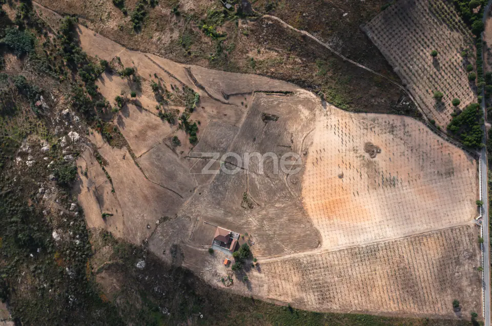 Propriedade Única no Norte de Portugal-Deslumbrante Quinta de 17 HA — imagem 9