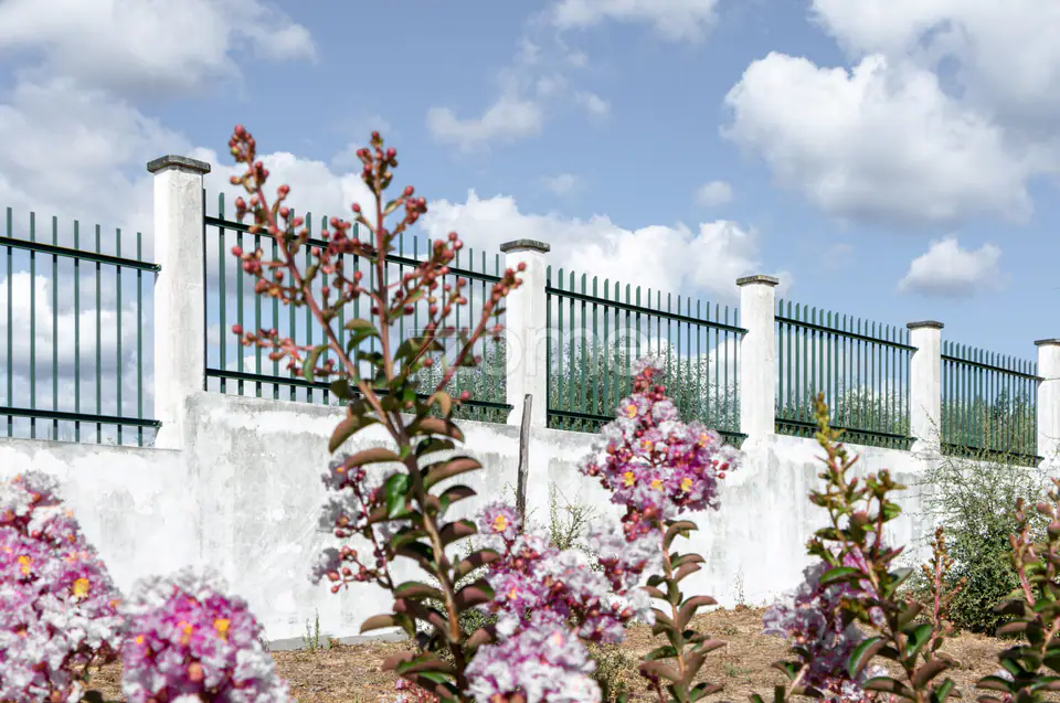 Propriedade Única no Norte de Portugal-Deslumbrante Quinta de 17 HA — imagem 36