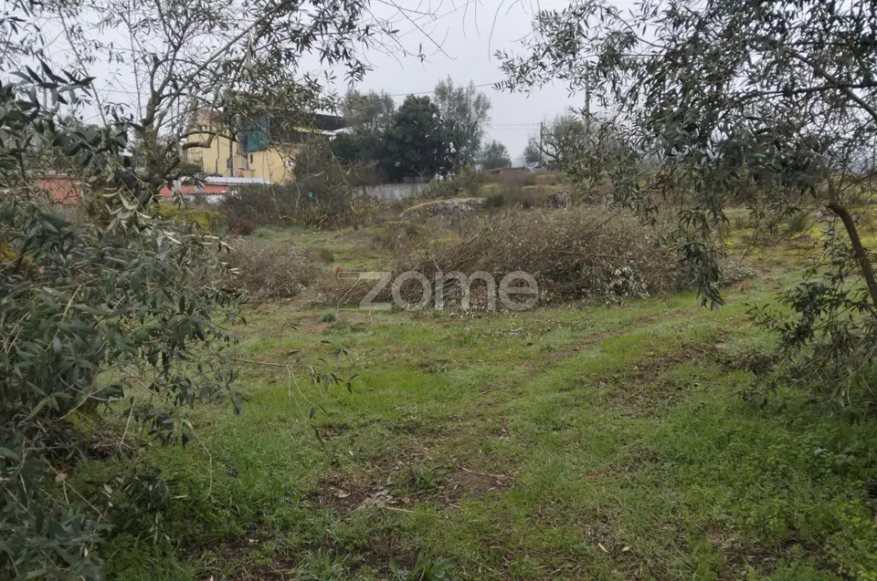 Terreno Urbano em Passos de Silgueiros — imagem 26