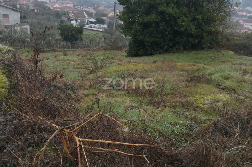 Terreno Urbano em Passos de Silgueiros — imagem 19