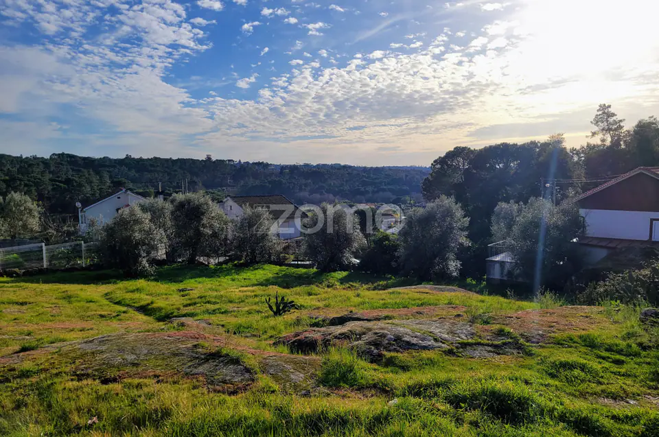 Terreno Urbano em Passos de Silgueiros — imagem 7