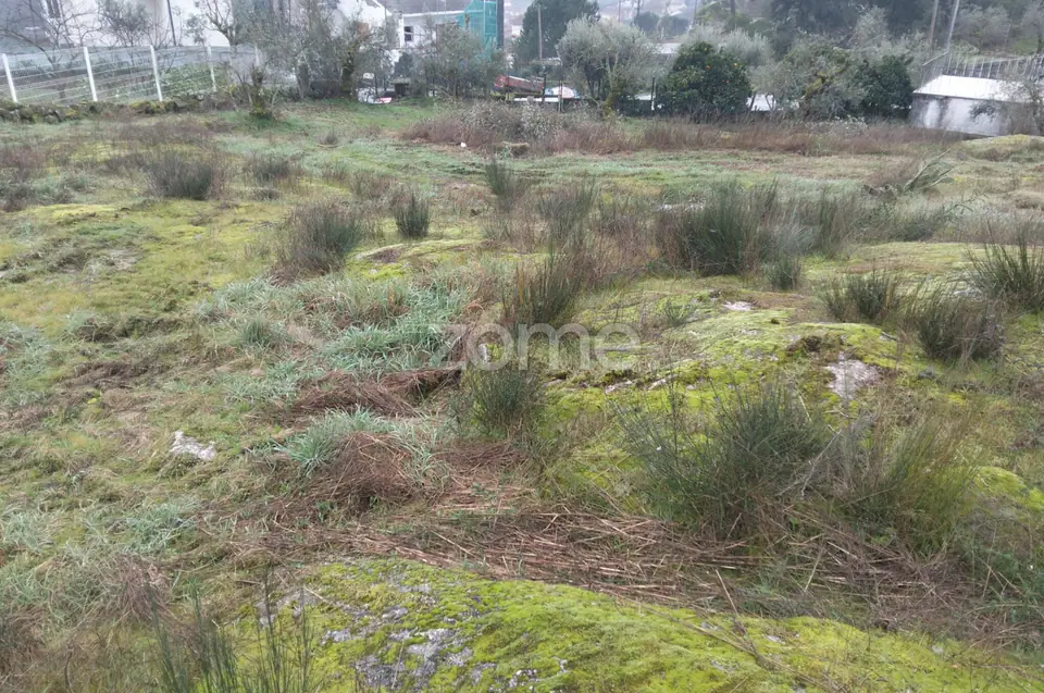 Terreno Urbano em Passos de Silgueiros — imagem 15